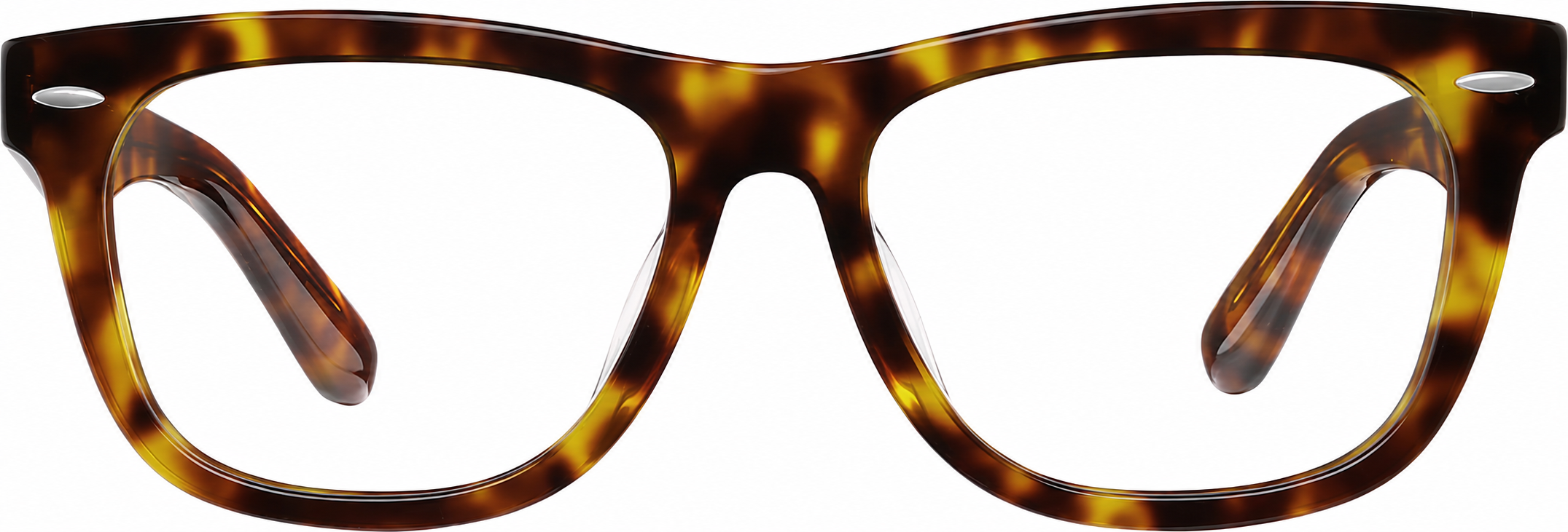 Tortoiseshell Bodega Eyeglasses · Tortoiseshell · reference