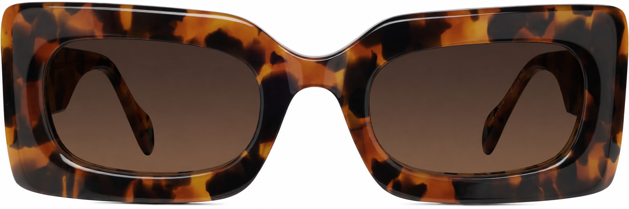 Tortoiseshell Rectangle Sunglasses · Tortoiseshell · reference