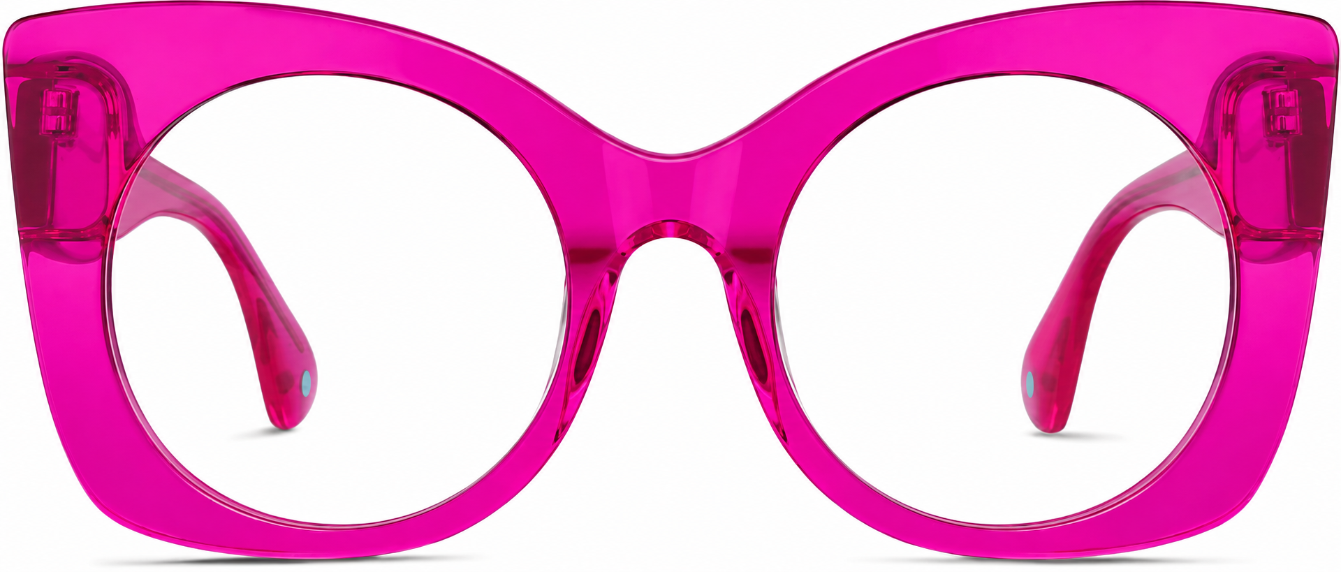 Fuchsia What's New Pussycat · Fuchsia · reference