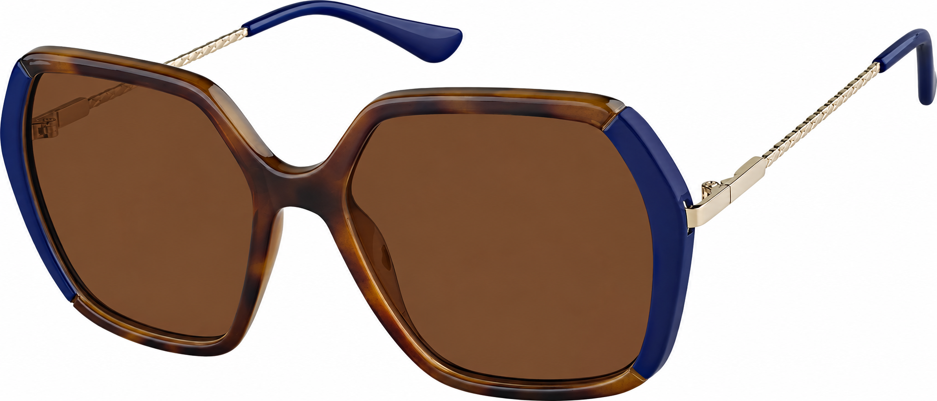 Premium Geometric Sunglasses · Tortoiseshell · reference