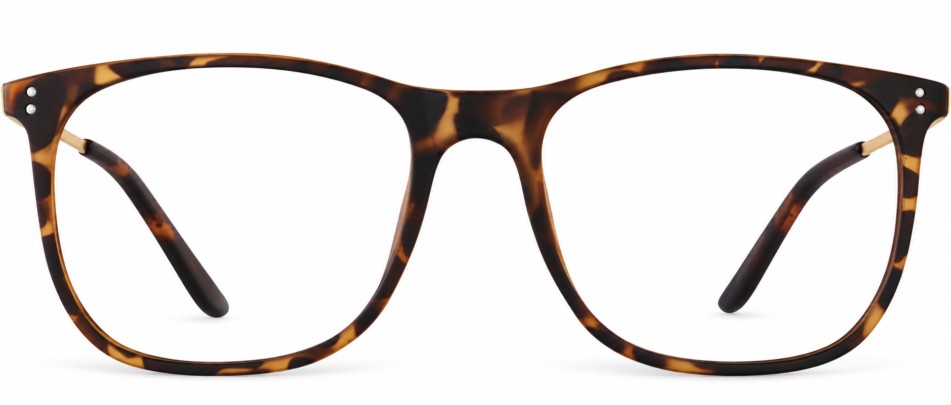 Tortoiseshell Sunny and 85 Glasses · Tortoiseshell · reference