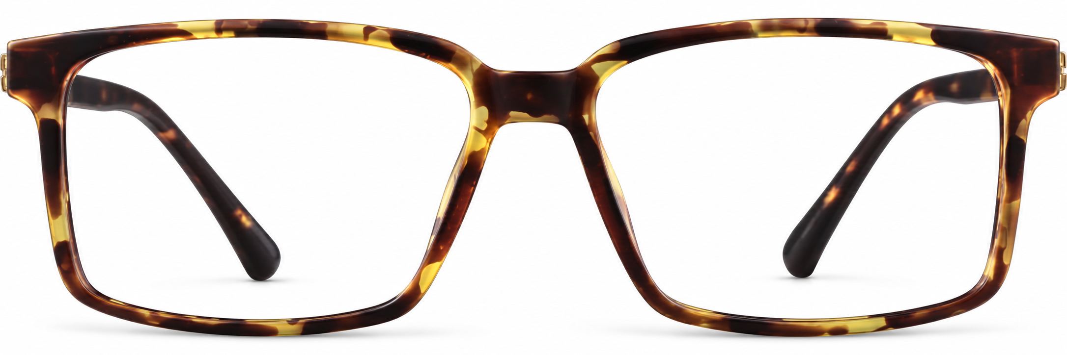 Tortoiseshell Plastic Rectangle Glasses · Tortoiseshell · reference