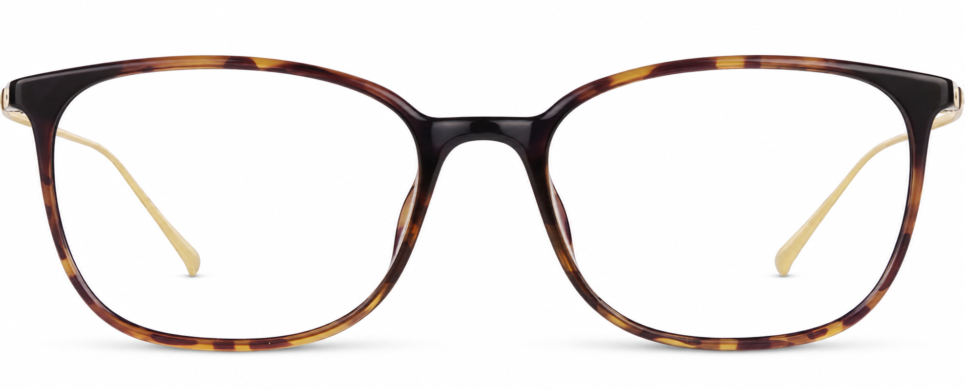 Tortoiseshell Rectangle Glasses · Tortoiseshell · reference