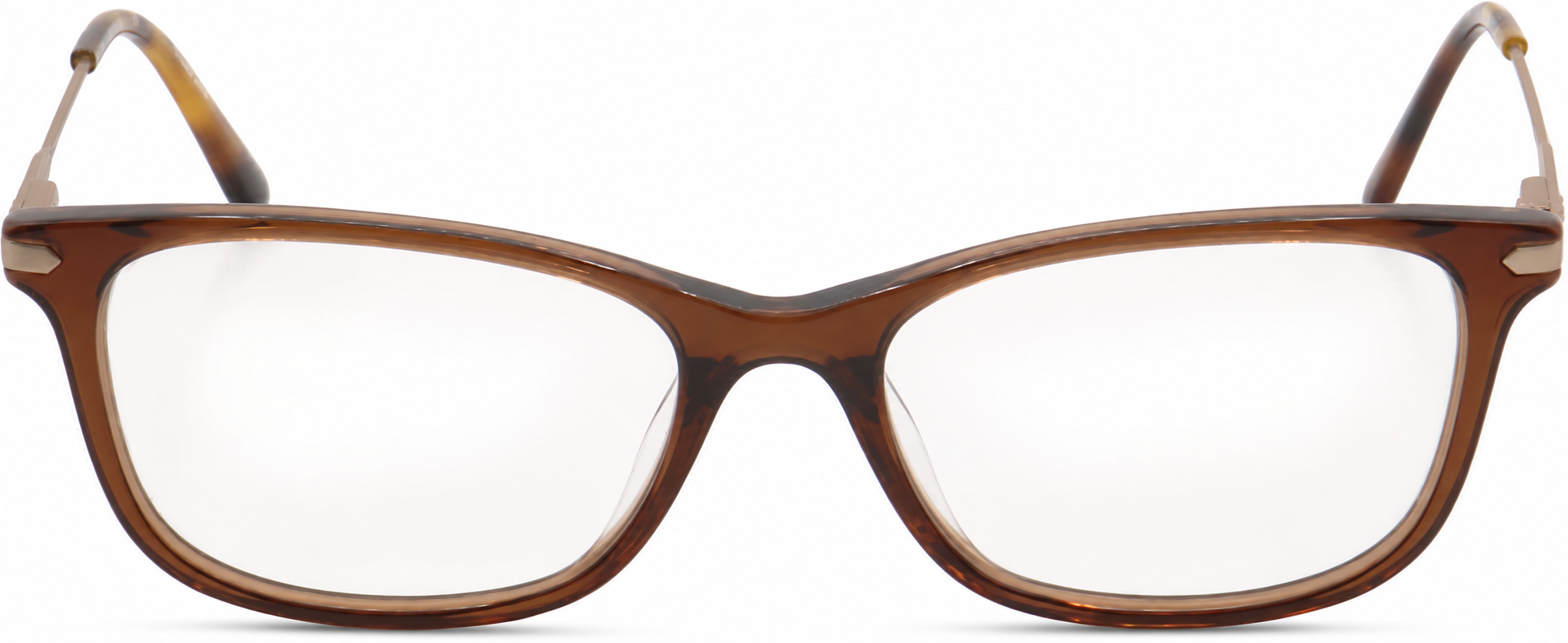 Brown Calvin Klein CK18722G · Brown · reference