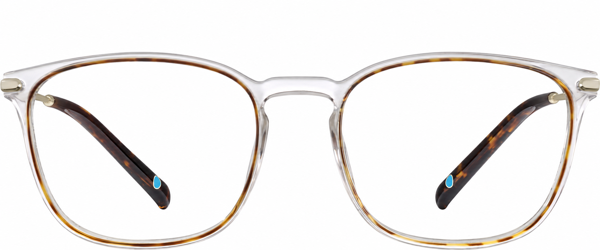Classic Tortoiseshell Square Glasses · Classic Tortoiseshell · reference