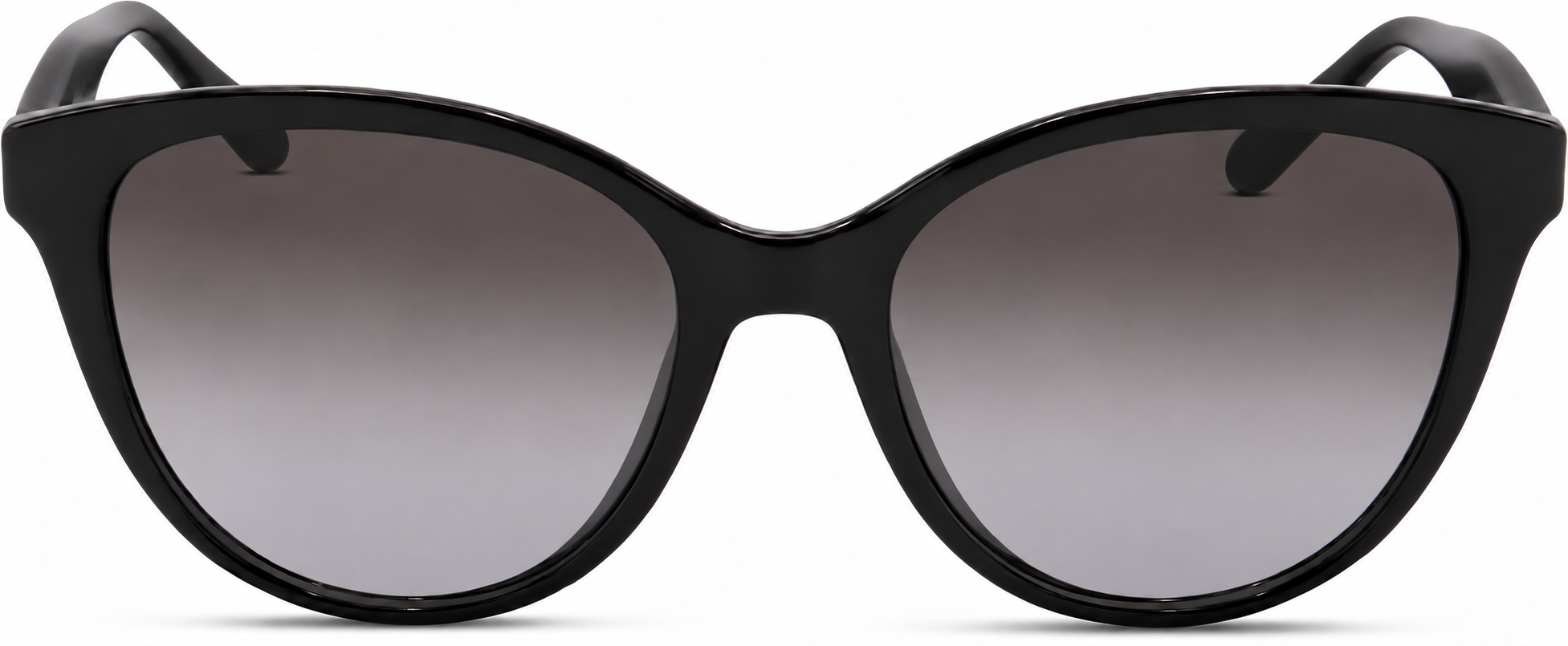 Black Ferragamo SF1073S · Black · reference