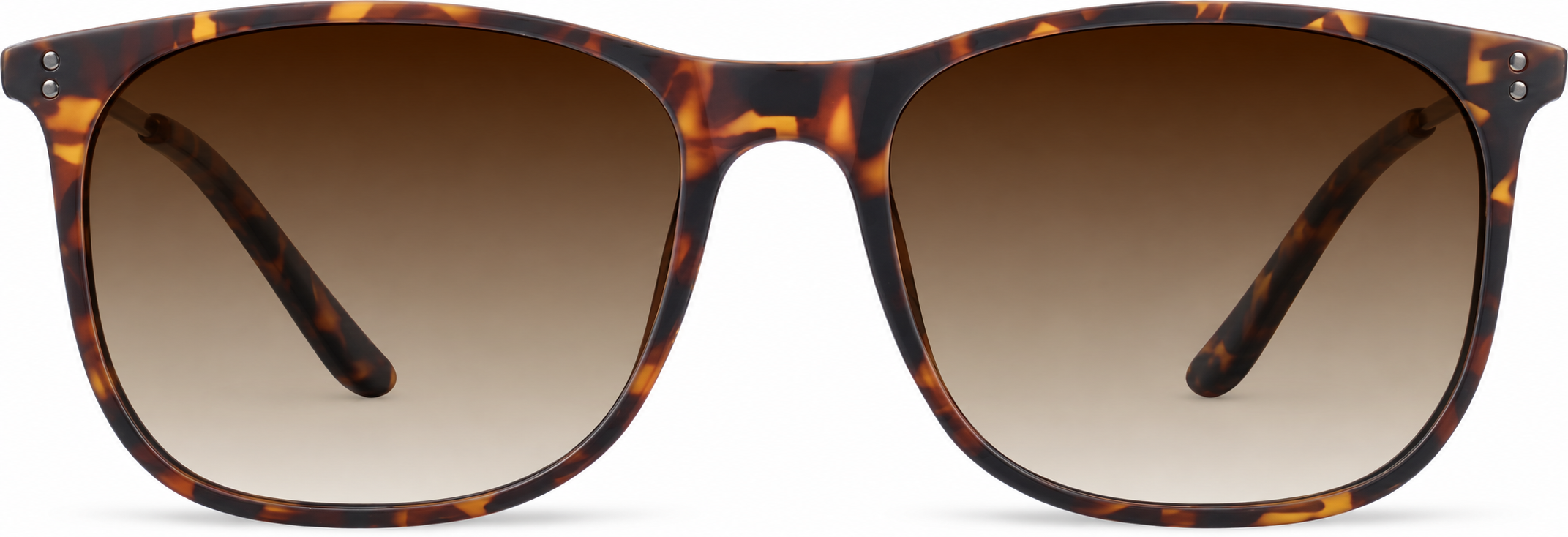 Tortoiseshell Square Sunglasses · Tortoiseshell · reference
