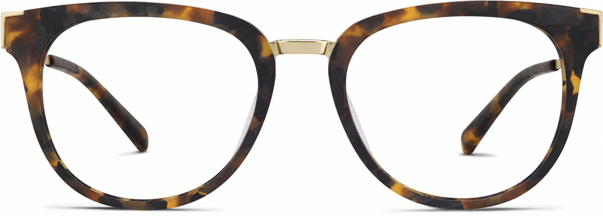 Tortoiseshell Square Glasses · Tortoiseshell · reference