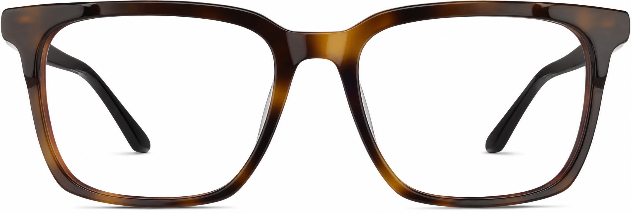Tortoiseshell Spotlight Glasses · Tortoiseshell · reference