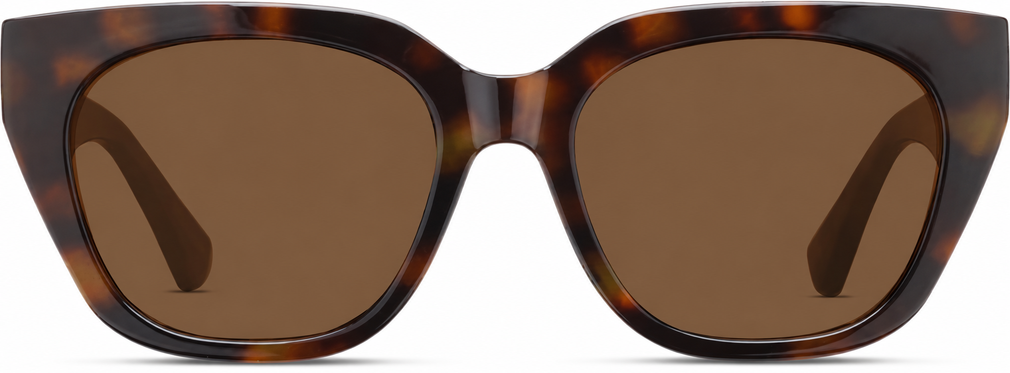 Tortoiseshell Square Sunglasses · Tortoiseshell · reference