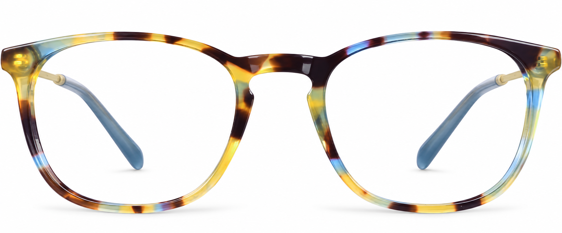 Tortoiseshell Square Glasses · Tortoiseshell · reference