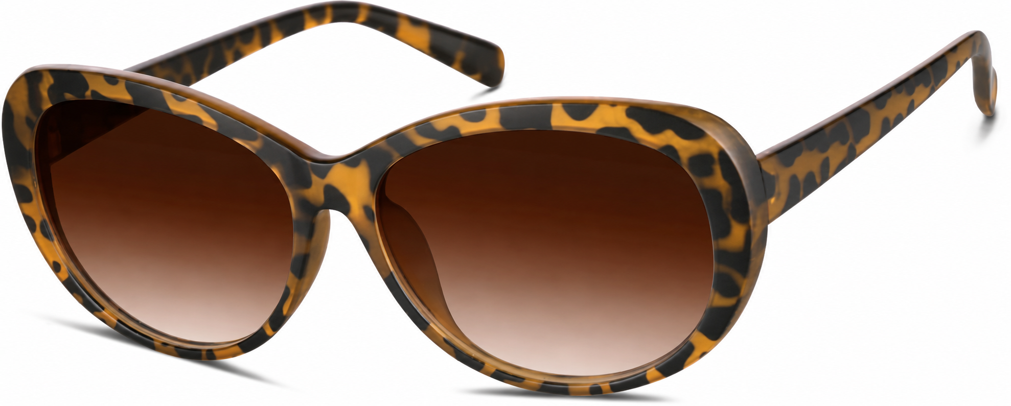 Premium Oval Sunglasses · Tortoiseshell · reference
