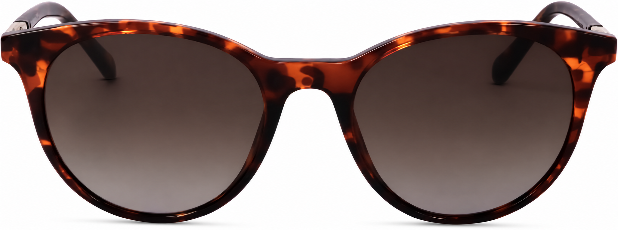 Tortoiseshell Fossil FOS3122 · Tortoiseshell · reference