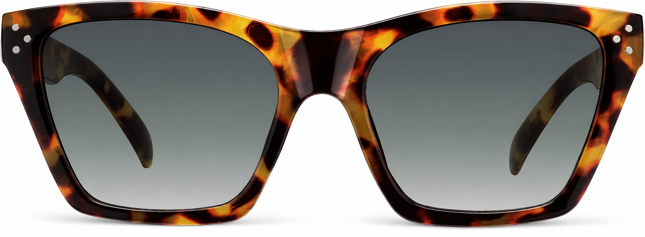 Tortoiseshell Square Sunglasses · Tortoiseshell · reference