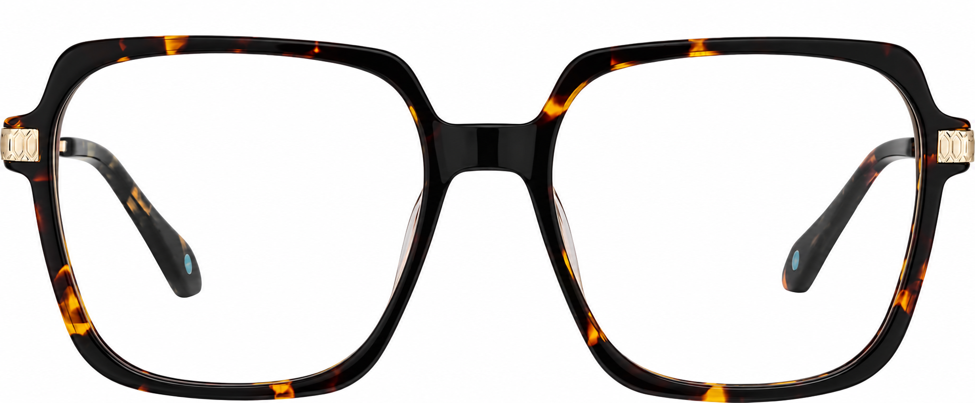 Tortoiseshell Bold Wisdom Glasses · Tortoiseshell · reference