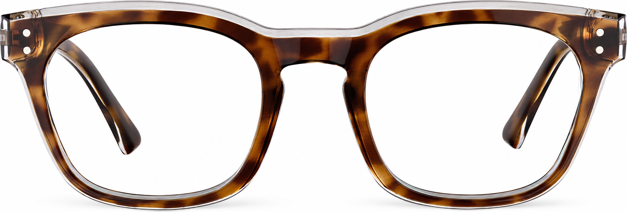 Tortoiseshell Rectangle Glasses · Tortoiseshell · reference