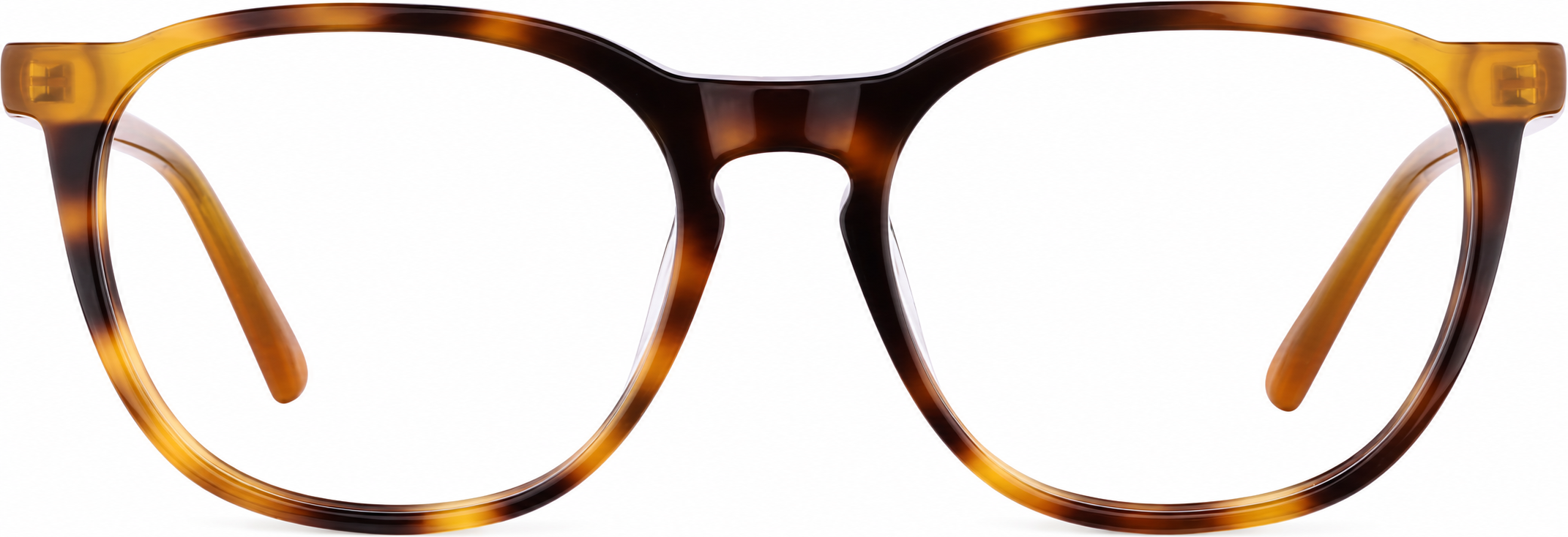 Tortoiseshell Square Glasses · Tortoiseshell · reference