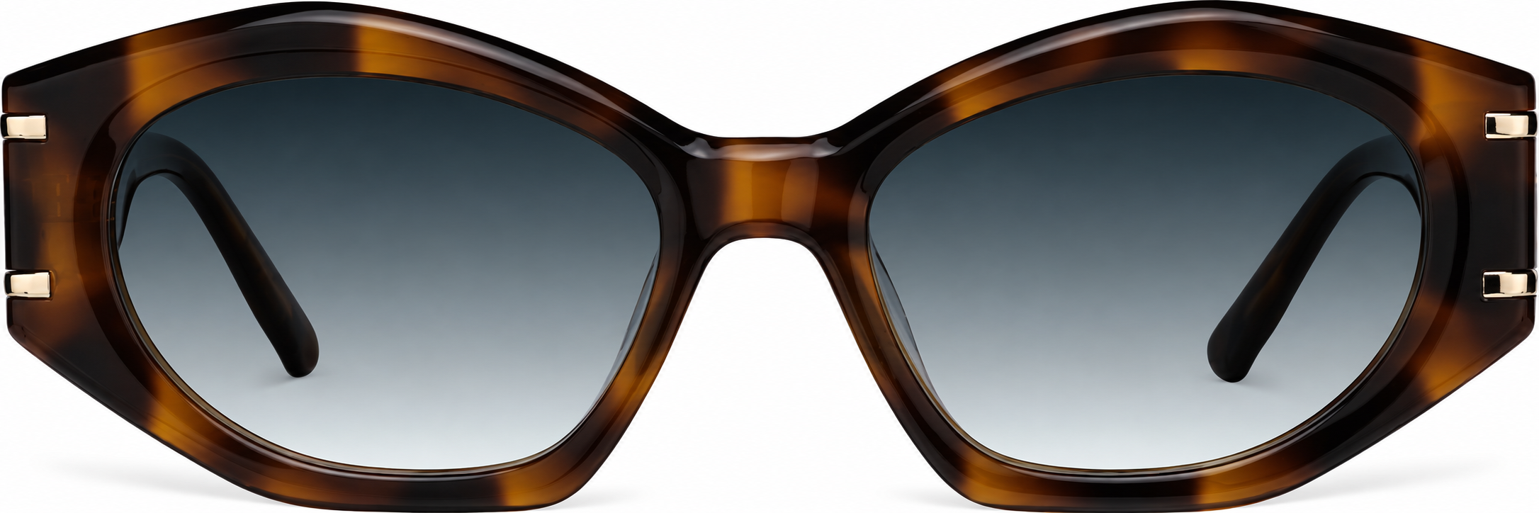 Tortoiseshell Geometric Sunglasses · Tortoiseshell · reference
